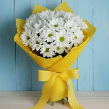 Букет цветов из:  Хризантемы в Шелковской