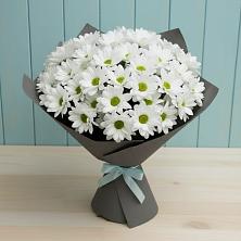 Букет цветов из:  Хризантемы в Шелковской