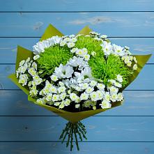 Букет цветов из:  Хризантемы в Шелковской